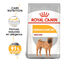 12 kg Royal Canin Dermacomfort Medium pienso para perros, , large indicador imagen numero 2